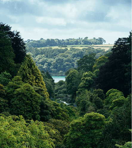 Murchison Falls Safari